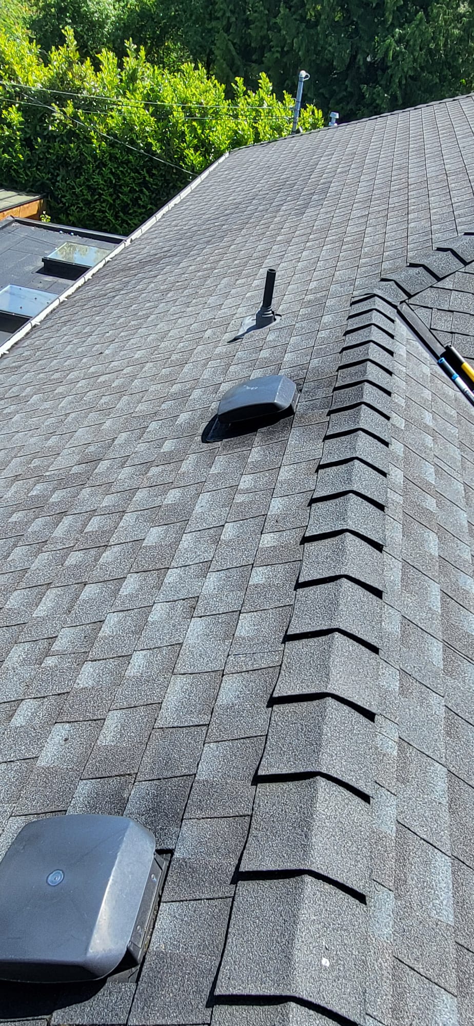 Roof after de-moss treatment