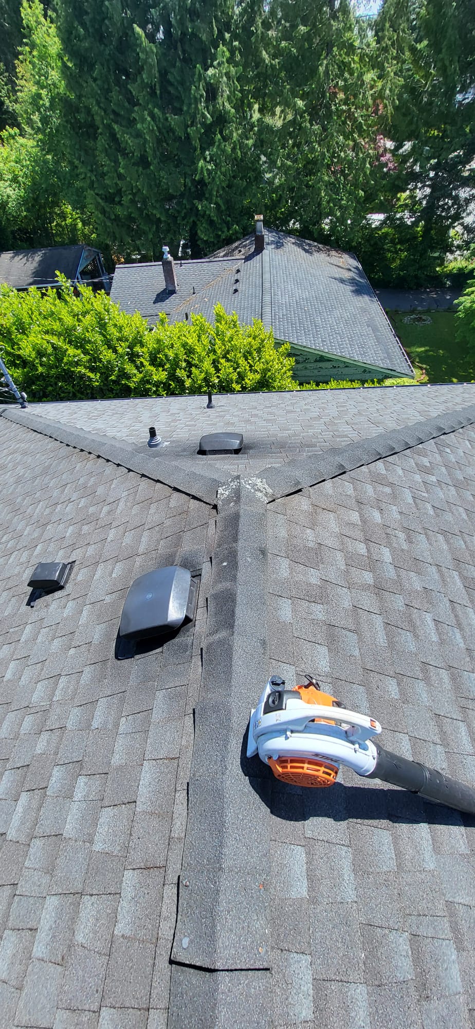 Clean roof blower