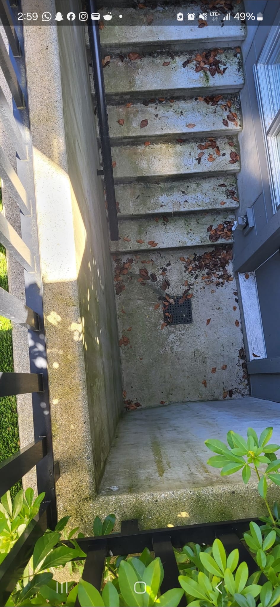 Concrete stairs before