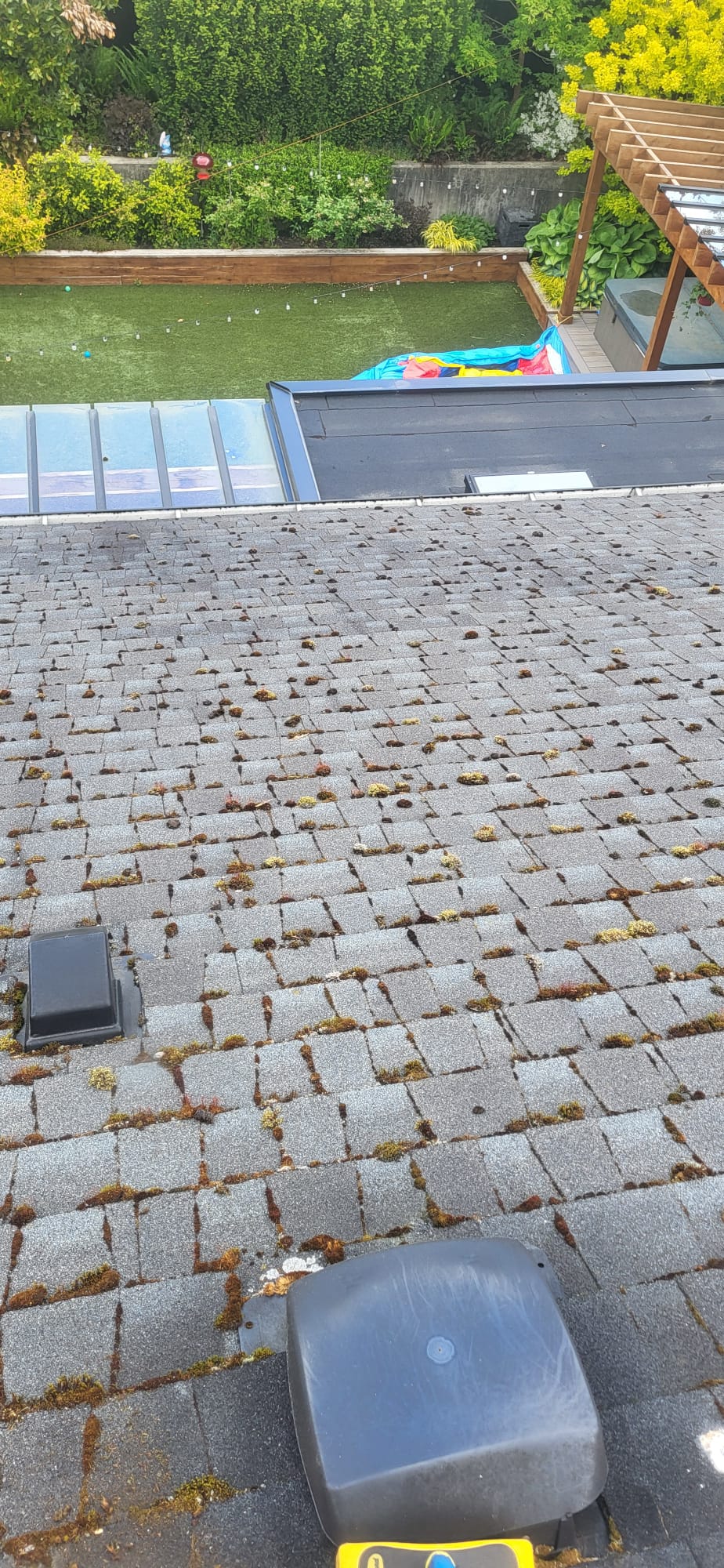Roof before de-moss treatment