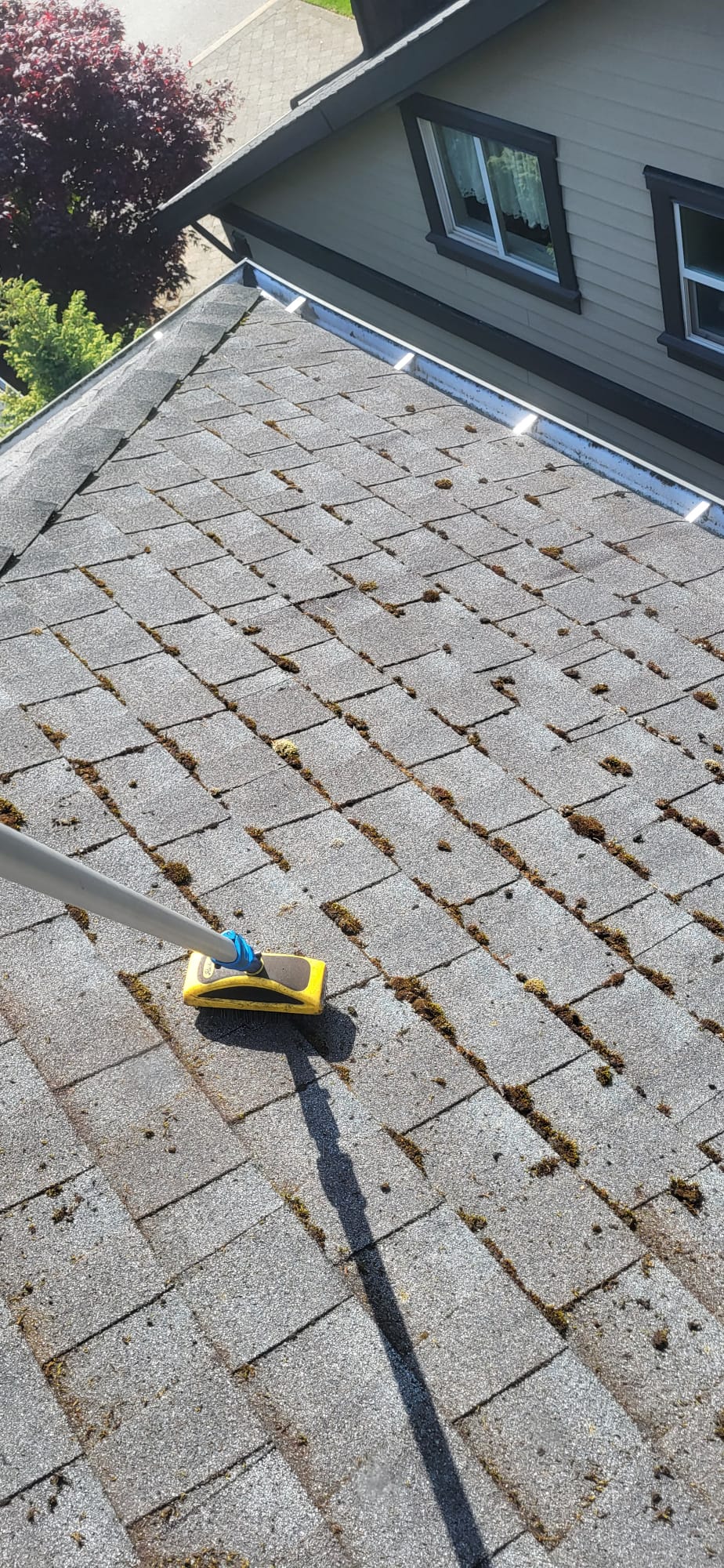 Roof moss being removed